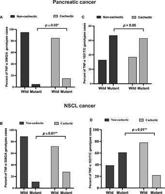 Impact of TNF-α Gene Polymorphisms on Pancreatic and Non-Small Cell Lung Cancer-Induced Cachexia in Adult Egyptian Patients: A Focus on Pathogenic Trajectories